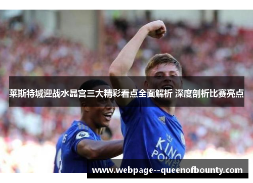 莱斯特城迎战水晶宫三大精彩看点全面解析 深度剖析比赛亮点