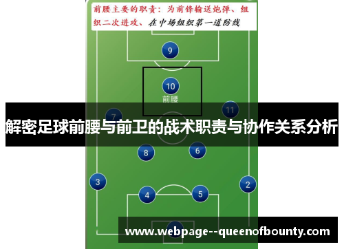 解密足球前腰与前卫的战术职责与协作关系分析