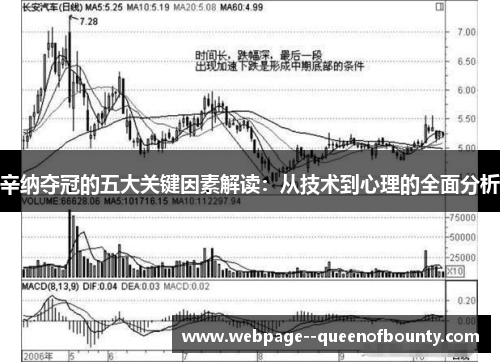 辛纳夺冠的五大关键因素解读：从技术到心理的全面分析