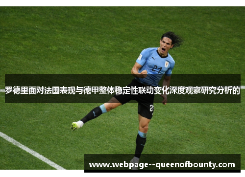 罗德里面对法国表现与德甲整体稳定性联动变化深度观察研究分析的