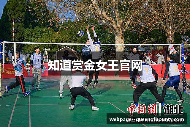 知道赏金女王官网